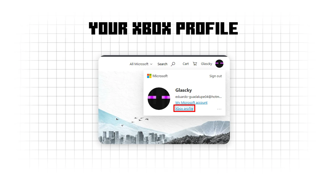 java profile