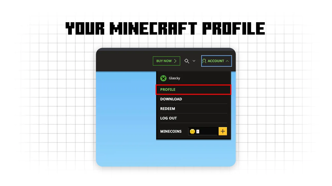 java profile